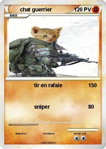 Pokemon chat guerrier