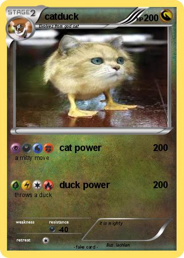 Pokemon catduck
