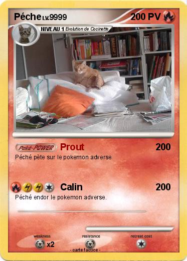 Pokemon Péche