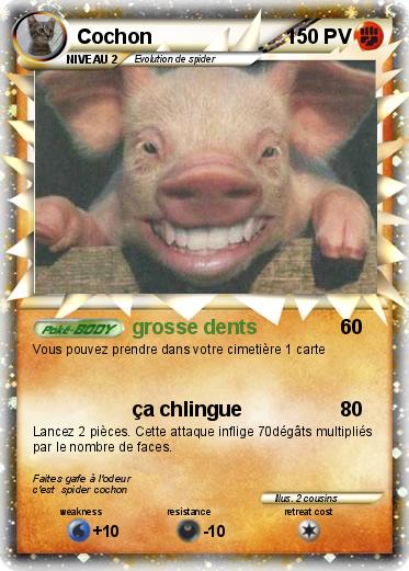 Pokemon Cochon