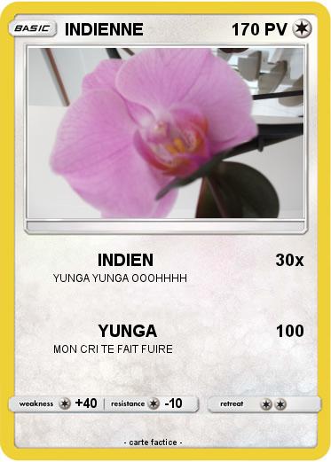 Pokemon INDIENNE