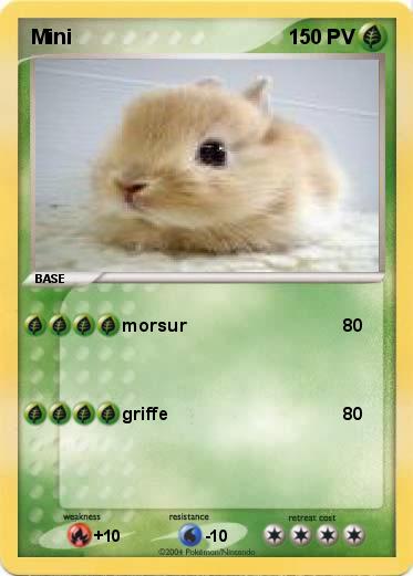 Pokemon Mini
