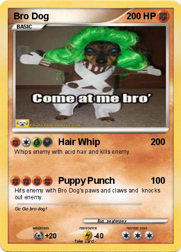 Pokemon Bro Dog