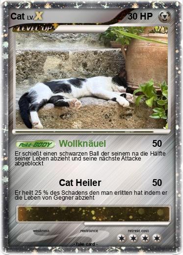 Pokemon Cat