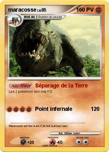 Pokemon maracosse