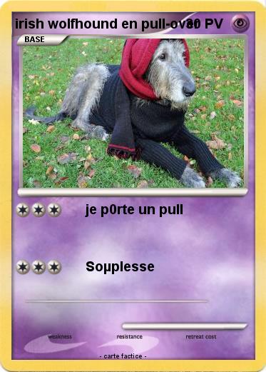 Pokemon irish wolfhound en pull-over