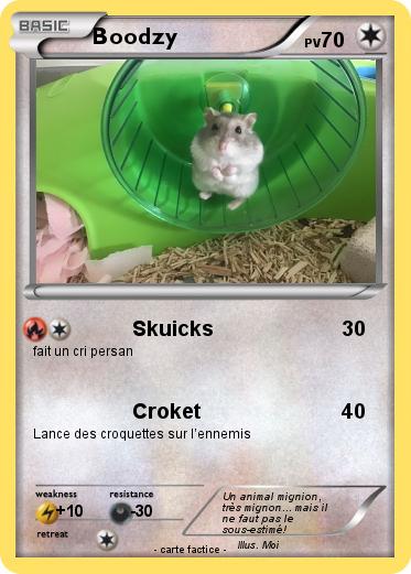 Pokemon Boodzy