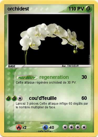 Pokemon orchidest