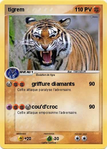 Pokemon tigrem