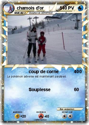 Pokemon chamois d'or             5