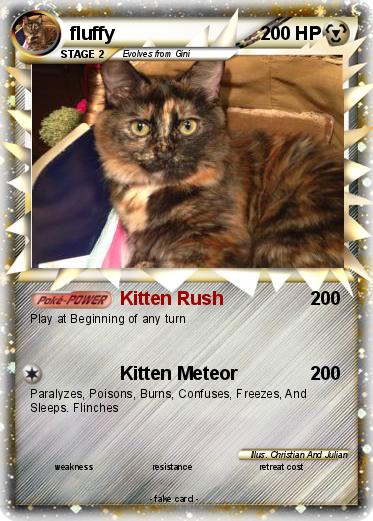 Pokemon fluffy