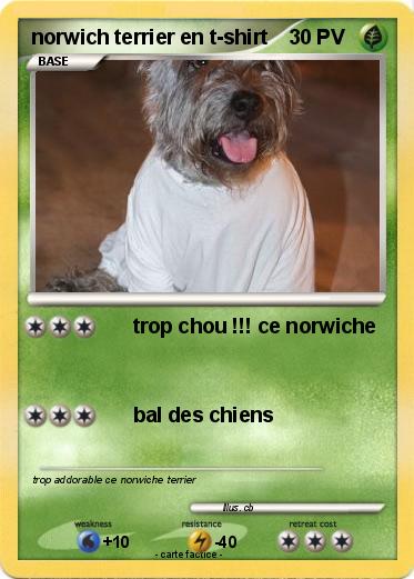 Pokemon norwich terrier en t-shirt
