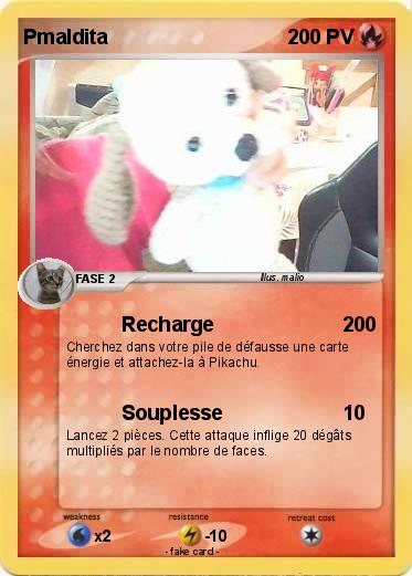 Pokemon Pmaldita