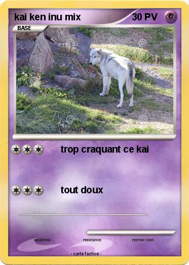 Pokemon kai ken inu mix