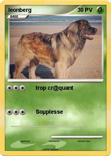 Pokemon leonberg