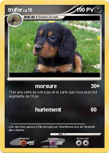 Pokemon trufor