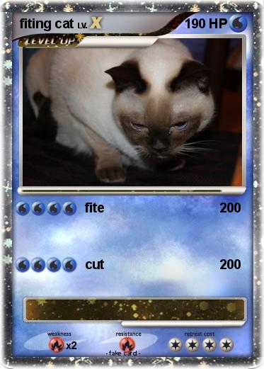 Pokemon fiting cat