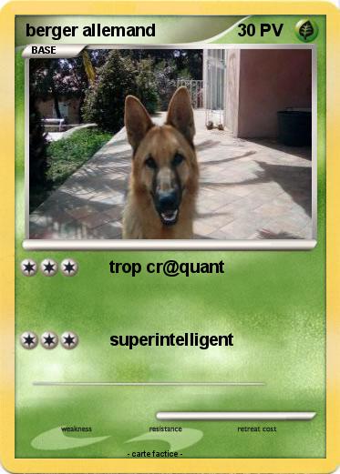 Pokemon berger allemand