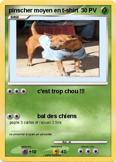 Pokemon pinscher moyen en t-shirt