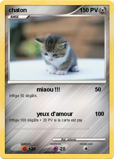 Pokemon chaton