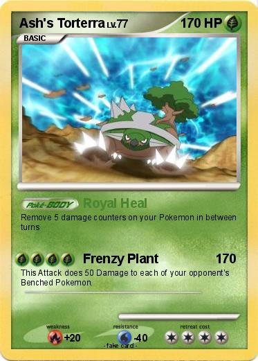 Pokemon Ash's Torterra