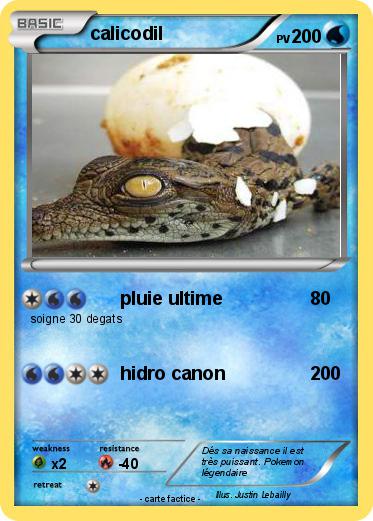 Pokemon calicodil