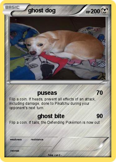 Pokemon ghost dog