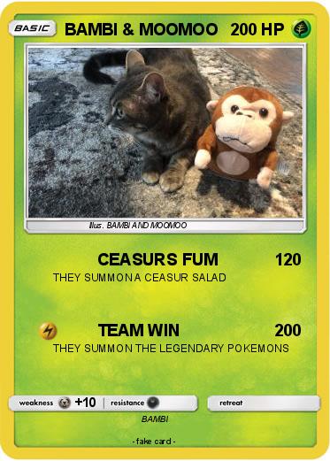 Pokemon BAMBI & MOOMOO
