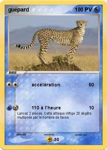 Pokemon guépard