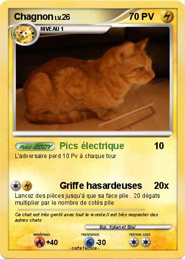 Pokemon Chagnon