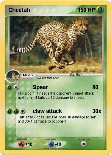 Pokemon Cheetah