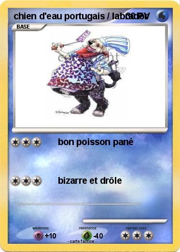 Pokemon chien d'eau portugais / labrador