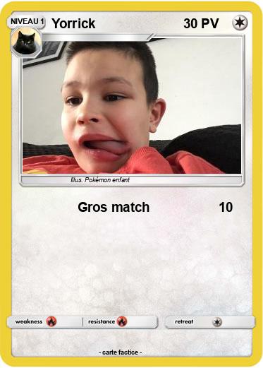 Pokemon Yorrick