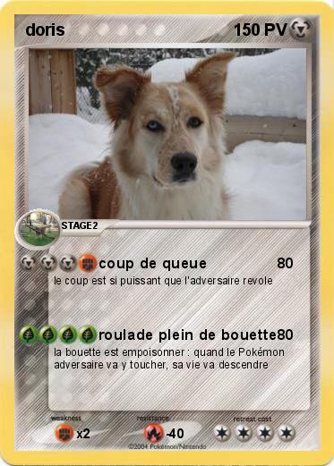 Pokemon doris