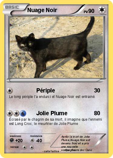 Pokemon Nuage Noir