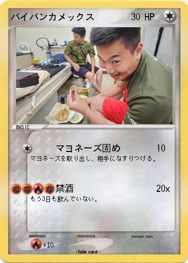 Pokemon パイパンカメックス