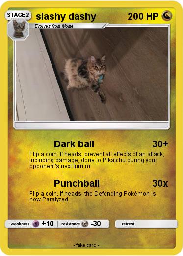 Pokemon slashy dashy