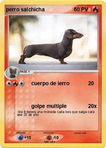Pokemon perro salchicha