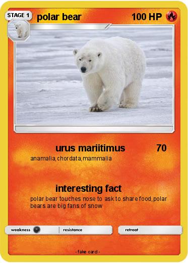 Pokemon polar bear
