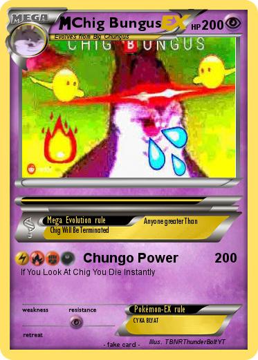 Pokemon Chig Bungus