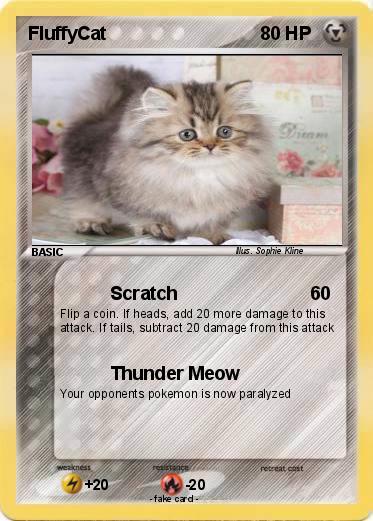 Pokemon FluffyCat