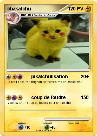 Pokemon chakatchu