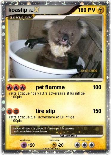 Pokemon koaslip
