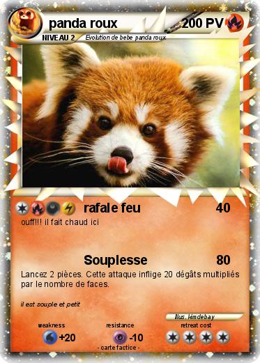 Pokemon panda roux