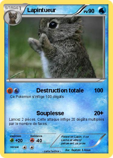 Pokemon Lapintueur