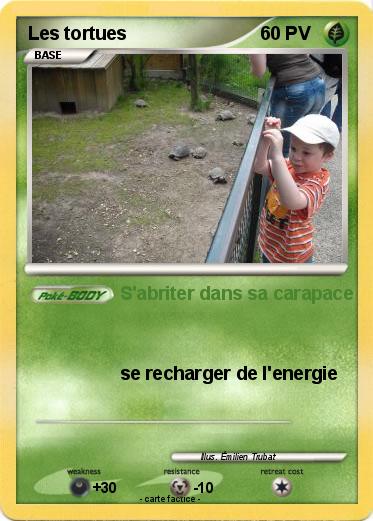 Pokemon Les tortues