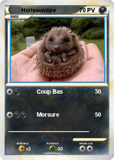 Pokemon Hérissombre
