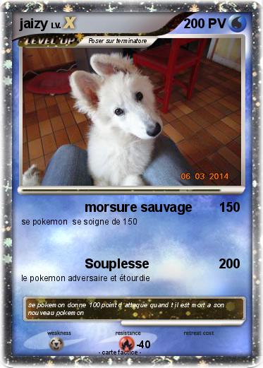 Pokemon jaizy