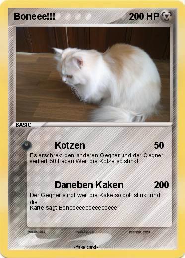 Pokemon Boneee!!!