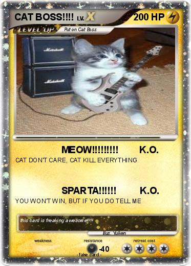 Pokemon CAT BOSS!!!!